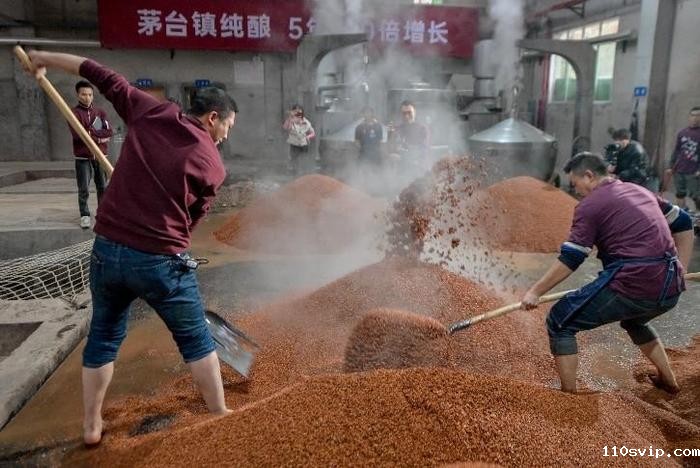 110svip君丰酒厂,重阳下沙